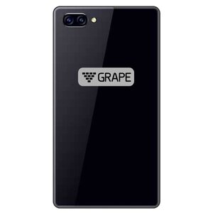 Переводчик-смартфон Grape GTM-5.5 v.15 Exclusive (фото modal nav 2)