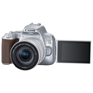 Фотоаппарат Canon EOS 250D Kit (фото modal nav 37)