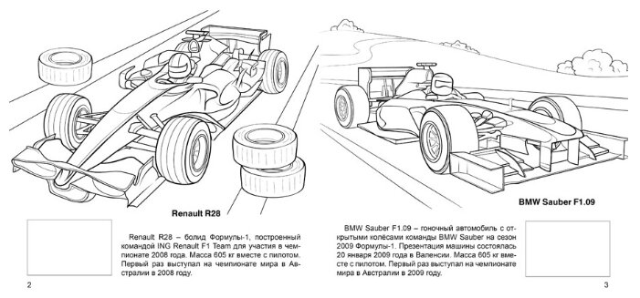 Алтей Автомобили для гонок. Раскраска с наклейками (фото modal 2)
