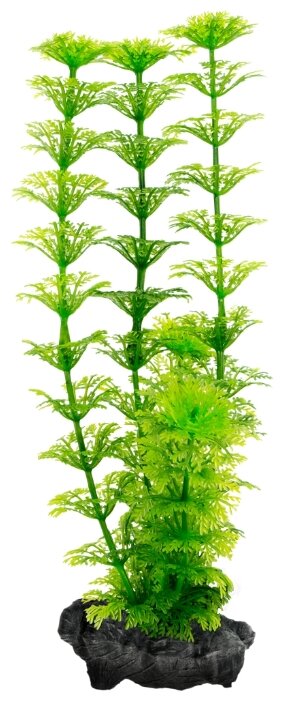 Искусственное растение Tetra Ambulia L (фото modal 1)