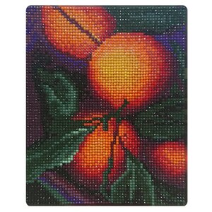 Color Kit Набор алмазной вышивки Апельсиновый аромат (MP004) 17х21 см (фото modal nav 1)
