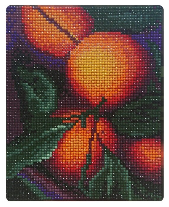 Color Kit Набор алмазной вышивки Апельсиновый аромат (MP004) 17х21 см (фото modal 1)