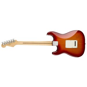 Электрогитара Fender Player Stratocaster Plus Top (фото modal nav 2)