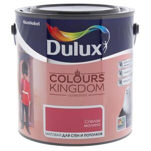 Водоэмульсионная краска Dulux Colours of Kingdom (фото modal nav 17)