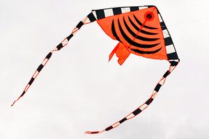 Воздушный змей Веселый ветер тропическая рыбка (фото modal nav 2)