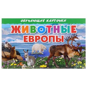 Набор карточек Литур Животные Европы 20x13 см 16 шт. (фото modal nav 1)