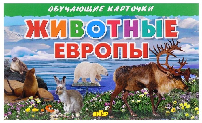 Набор карточек Литур Животные Европы 20x13 см 16 шт. (фото modal 1)