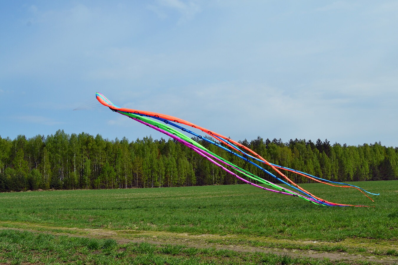 Воздушный змей Веселый ветер Осьминог (фото modal 6)