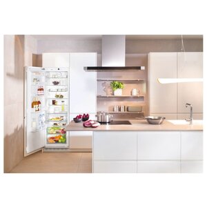 Встраиваемый холодильник Liebherr IK 3520 (фото modal nav 6)