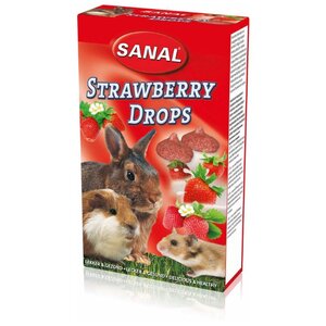 Лакомство для кроликов, грызунов Sanal Strawberry Drops (фото modal nav 1)