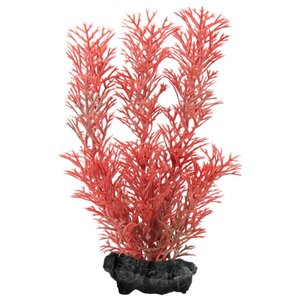 Искусственное растение Tetra Red Foxtail S (фото modal nav 1)