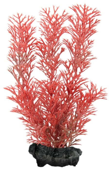 Искусственное растение Tetra Red Foxtail S (фото modal 1)