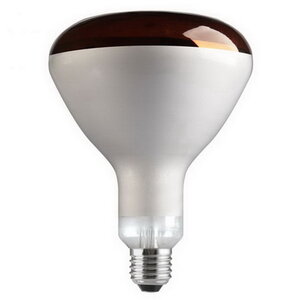 Лампа General Electric E27 250Вт (фото modal nav 4)