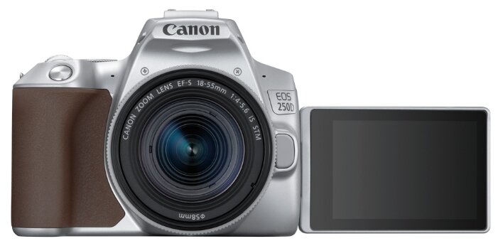 Фотоаппарат Canon EOS 250D Kit (фото modal 36)