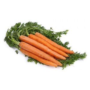 Морковь с ботвой (Македония) (фото modal nav 1)