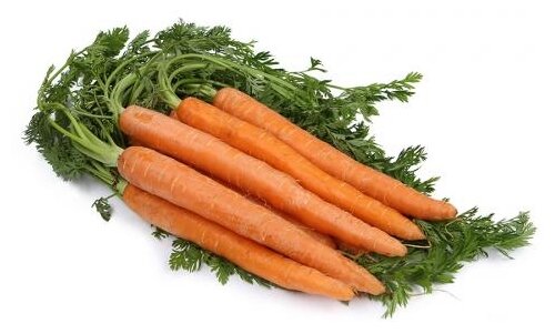 Морковь с ботвой (Македония) (фото modal 1)