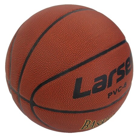 Баскетбольный мяч Larsen PVC6, р. 6 (фото modal 2)