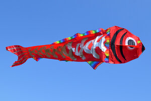 Воздушный змей Веселый ветер (фото modal nav 2)