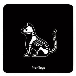 Набор ветеринара PlanToys 3490 (фото modal nav 6)