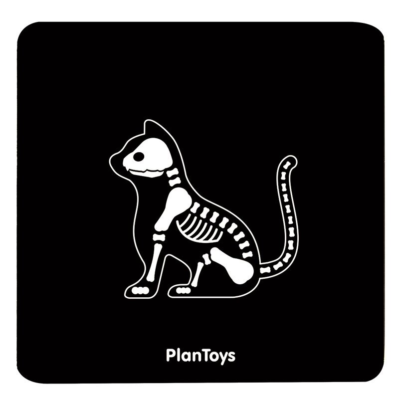Набор ветеринара PlanToys 3490 (фото modal 6)