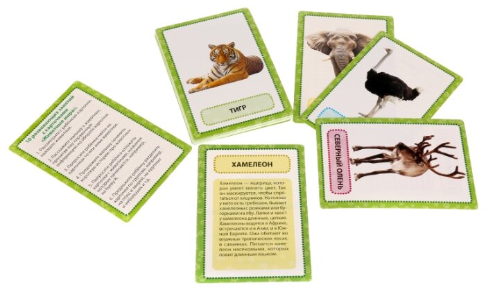 Набор карточек Умка Умные игры Животные мира 16x10 см 30 шт. (фото modal 2)