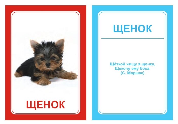 Набор карточек Вундеркинд с пелёнок Логопедка Щ+Х 10x7 см 30 шт. (фото modal 2)