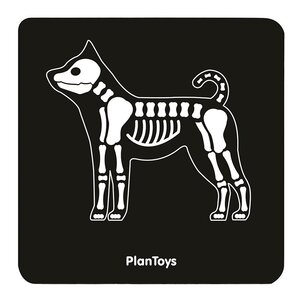 Набор ветеринара PlanToys 3490 (фото modal nav 5)