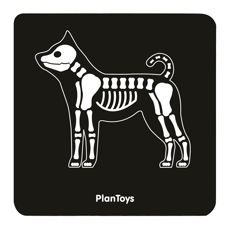 Набор ветеринара PlanToys 3490 (фото modal 5)
