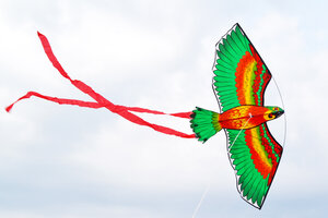 Воздушный змей Веселый ветер Попугай (фото modal nav 5)