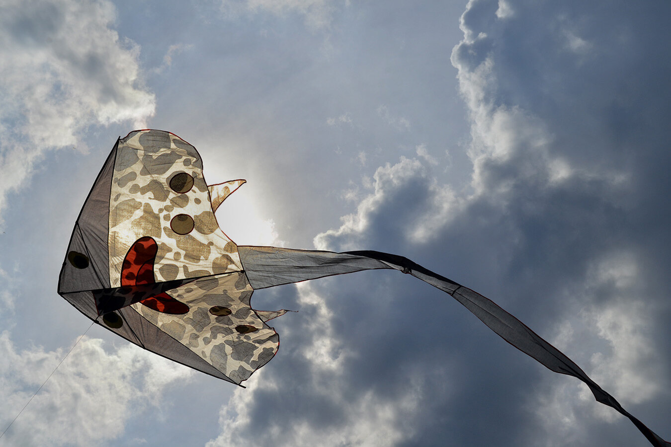Воздушный змей Веселый ветер Скат (фото modal 4)