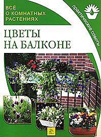 Все о комнатных растениях. Цветы на балконе (фото modal 1)