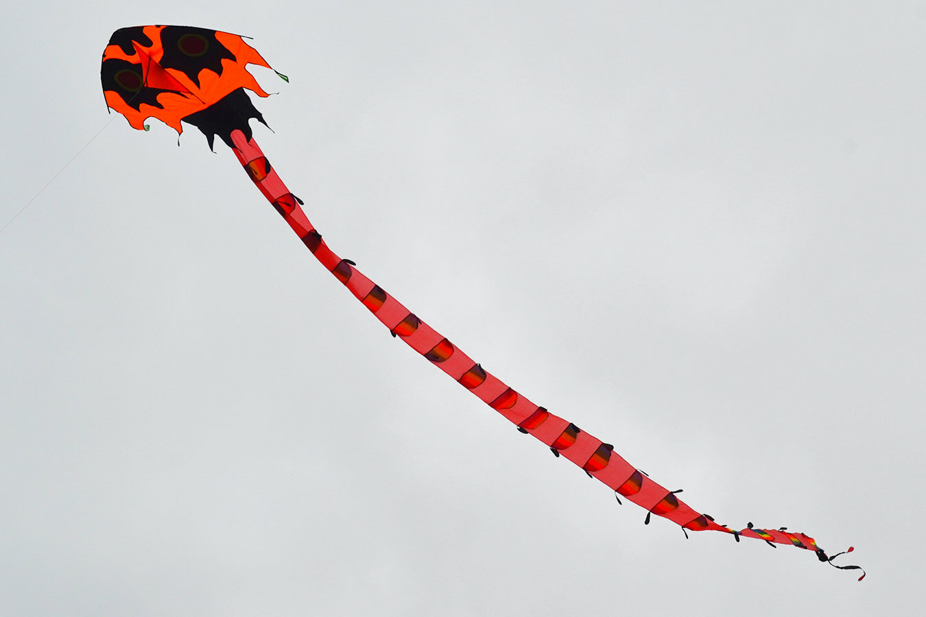 Воздушный змей Веселый ветер (фото modal 2)