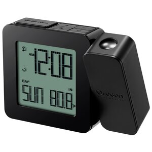 Термометр Oregon Scientific RM338PX (фото modal nav 10)