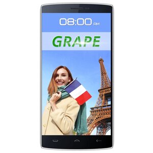 Переводчик-смартфон Grape GTE-5.5 v.4 (фото modal nav 1)