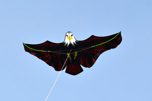 Воздушный змей Веселый ветер Имперский Орел (фото modal nav 4)