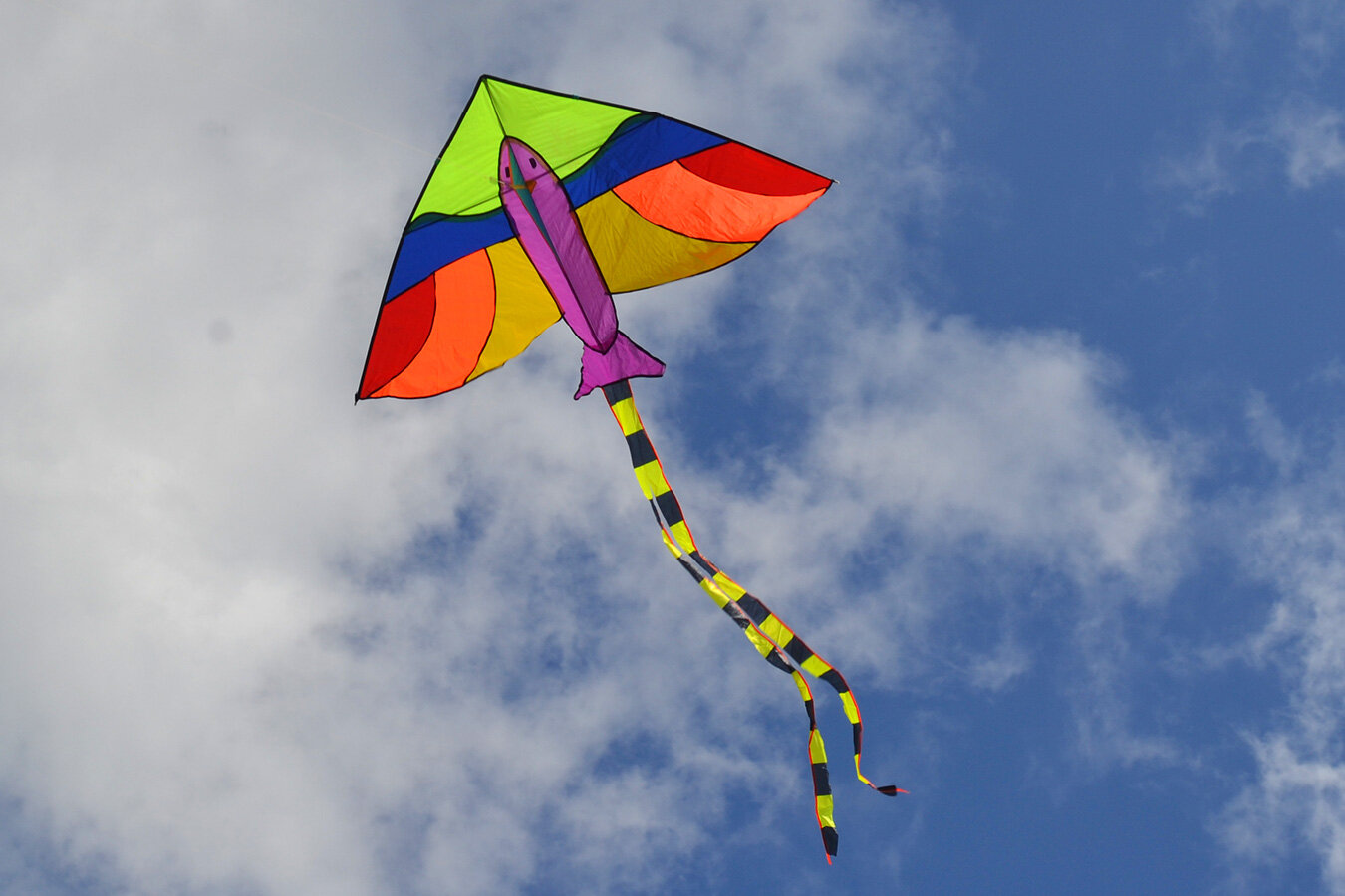 Воздушный змей Веселый ветер Масаго (фото modal 5)