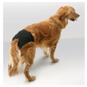 Подгузники для собак SAVIC Doggli Hygienic Dog Panty Size 5 (фото modal nav 3)