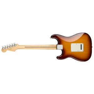 Электрогитара Fender Player Stratocaster Plus Top (фото modal nav 4)