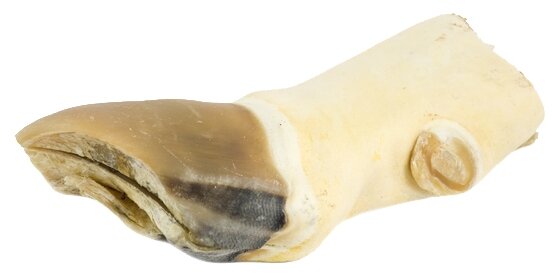 Лакомство для собак Titbit Нога говяжья резаная большая (фото modal 2)