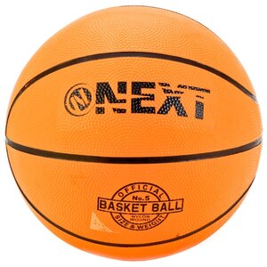 Баскетбольный мяч Next BS-500, р. 5 (фото modal nav 1)