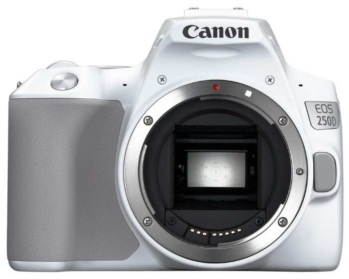 Фотоаппарат Canon EOS 250D Kit (фото modal 25)