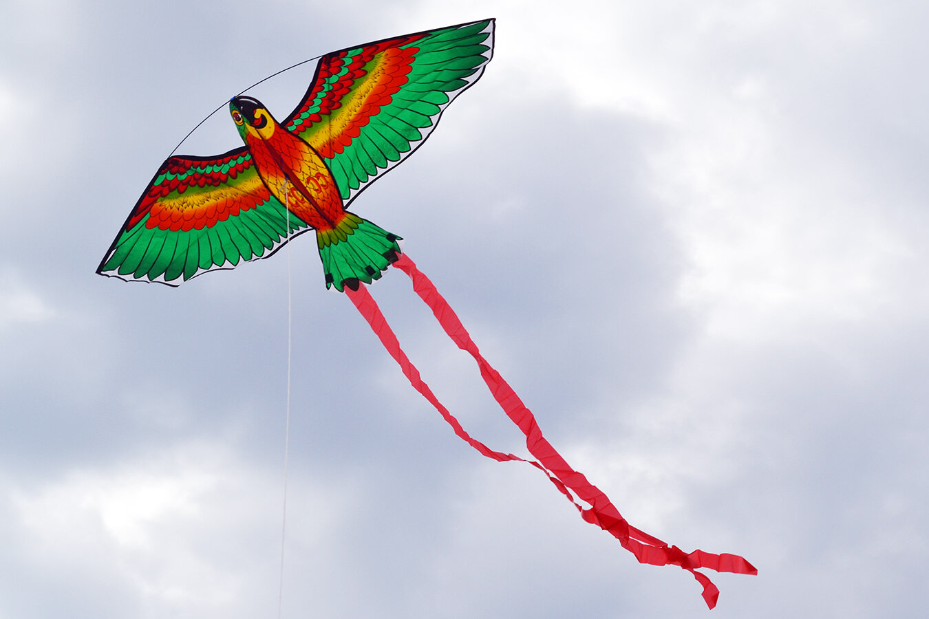 Воздушный змей Веселый ветер Попугай (фото modal 3)