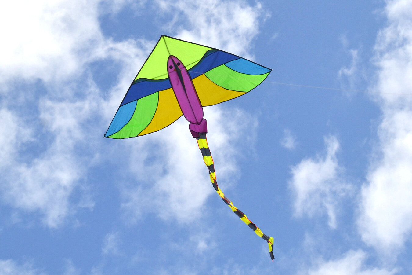 Воздушный змей Веселый ветер Масаго (фото modal 3)