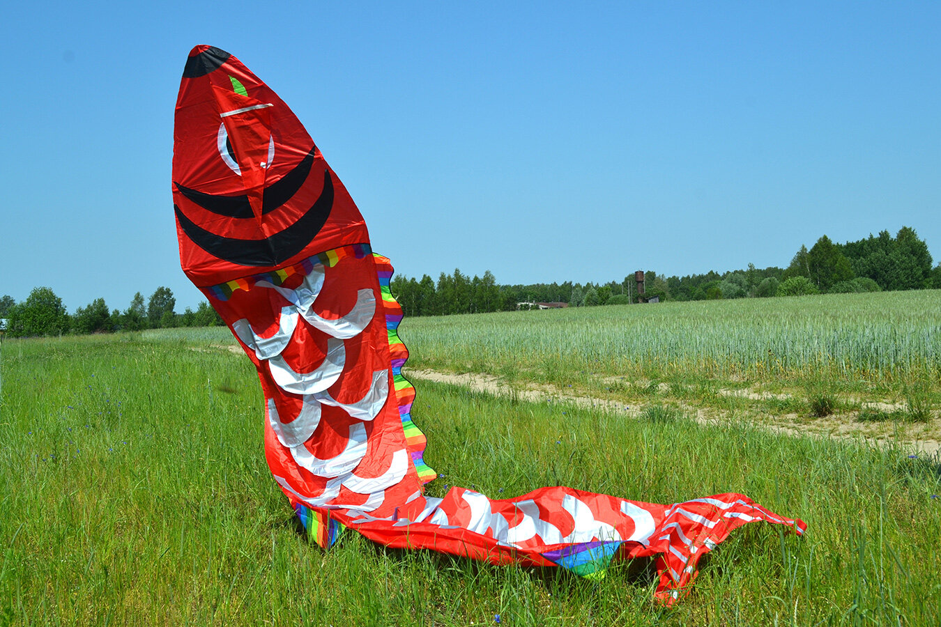 Воздушный змей Веселый ветер Зеркальный карп (фото modal 4)