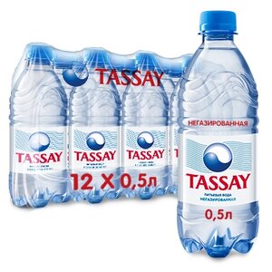 Вода питьевая TASSAY негазированная, ПЭТ (фото modal nav 2)