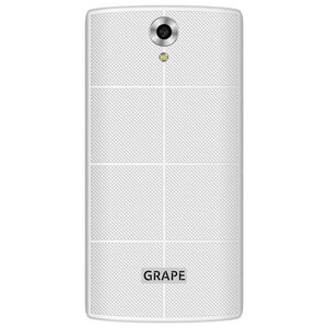 Переводчик-смартфон Grape GTM-5.5 v.4 (фото modal nav 2)