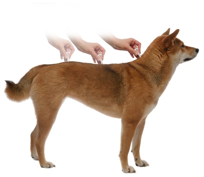 Адвантикс (Bayer) Капли на холку для собак более 25 кг (4 пипетки) (фото modal 7)