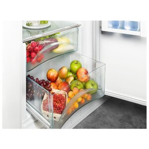 Встраиваемый холодильник Liebherr IK 3520 (фото modal nav 3)
