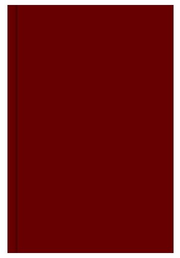 Ежедневник Listoff ЕБ17515208 недатированный, бумвинил, А5, 152 листов (фото modal 1)
