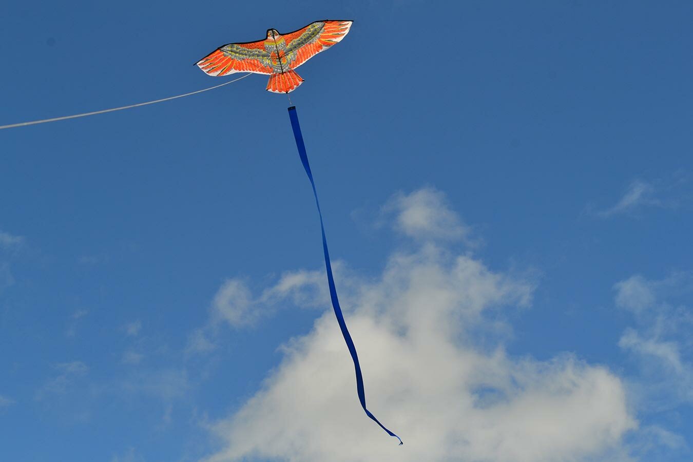 Воздушный змей Веселый ветер Кречет (фото modal 3)